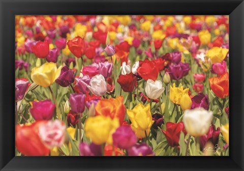 Framed Colorful Bouquet Print