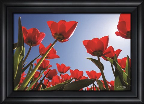 Framed Look Up in Red Print