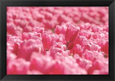 Framed Pink Field Print