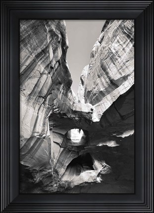 Framed Neon Canyon I BW Print