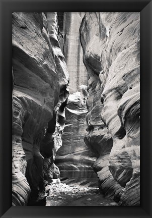 Framed Buckskin Gulch IV BW Print