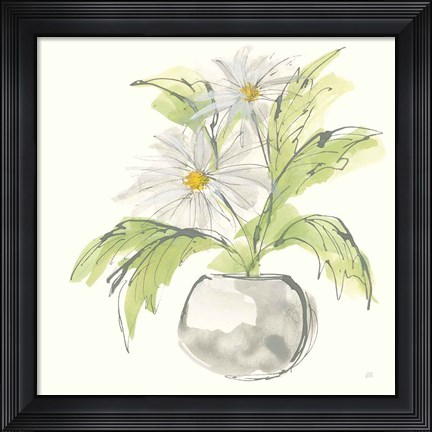Framed Plant Daisy II Print