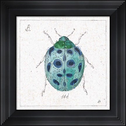 Framed Outdoor Beauties VIII Color Print