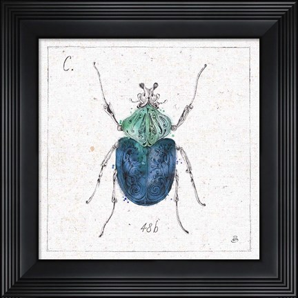 Framed Outdoor Beauties IX Color Print