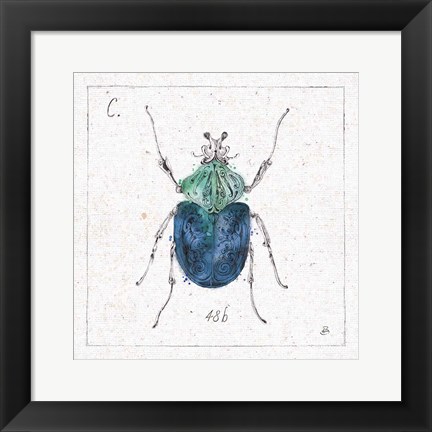 Framed Outdoor Beauties IX Color Print
