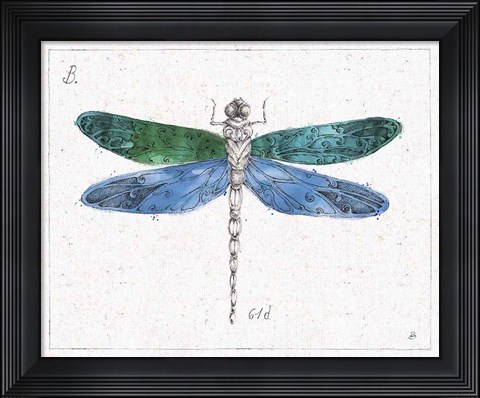 Framed Outdoor Beauties IV Color Print