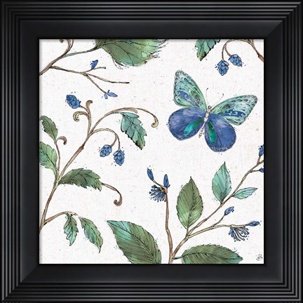 Framed Outdoor Beauties II Color Print