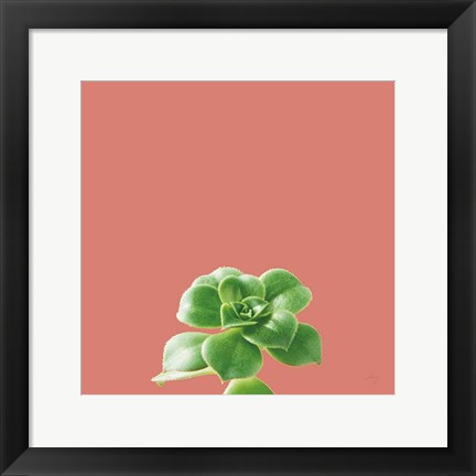 Framed Succulent Simplicity VII Coral Print