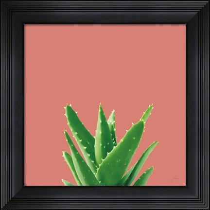 Framed Succulent Simplicity V Coral Print