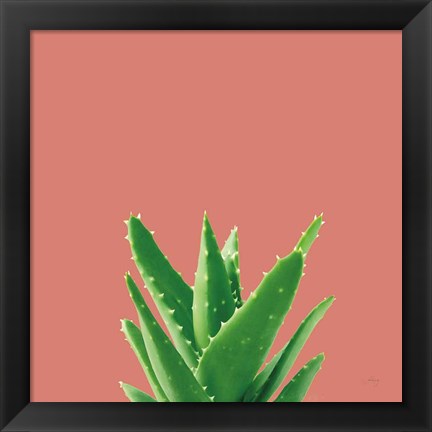 Framed Succulent Simplicity V Coral Print