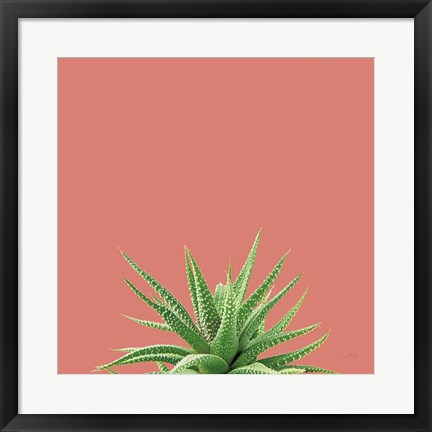 Framed Succulent Simplicity I Coral Print