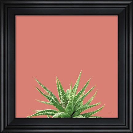 Framed Succulent Simplicity I Coral Print