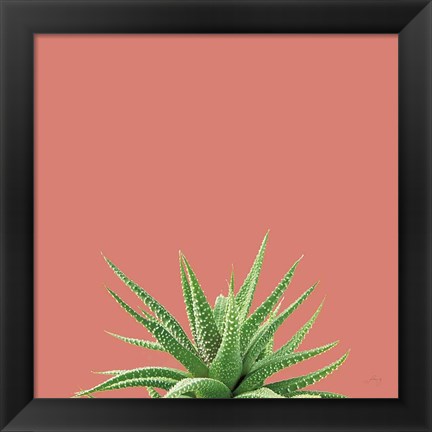 Framed Succulent Simplicity I Coral Print