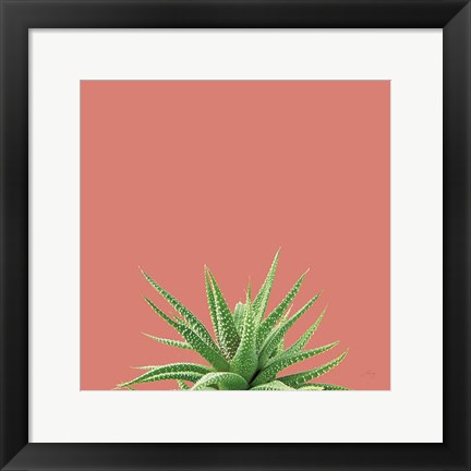 Framed Succulent Simplicity I Coral Print