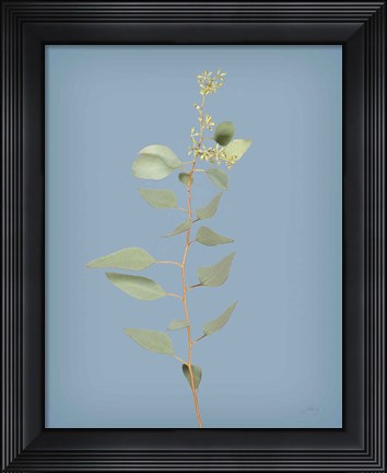 Framed Simple Stems II Blue Crop Print