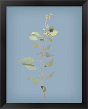Framed Simple Stems II Blue Crop Print