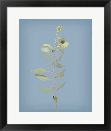 Framed Simple Stems II Blue Crop Print