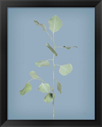 Framed Simple Stems I Blue Crop Print