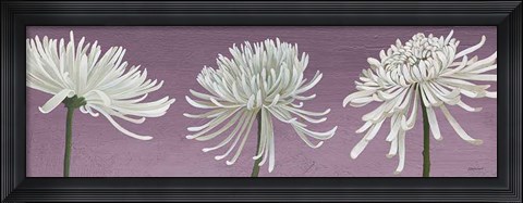 Framed Morning Chrysanthemums V Lavender Print
