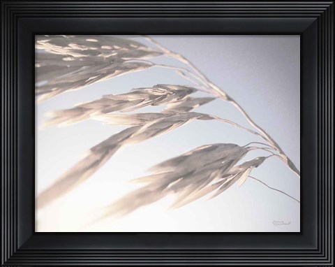 Framed Windy Wheat Fields II Light Print