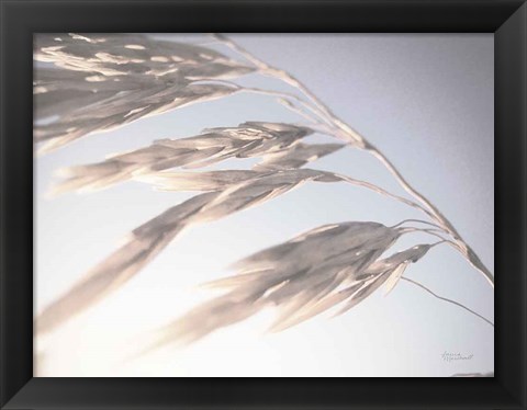 Framed Windy Wheat Fields II Light Print