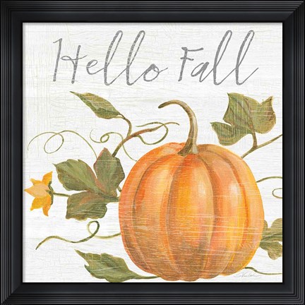 Framed Fall Splendor V Print
