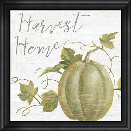Framed Fall Splendor III Print