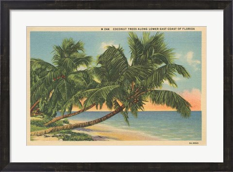 Framed Florida Postcard III Print