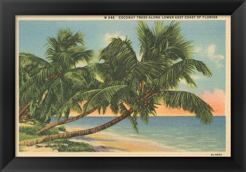 Framed Florida Postcard III Print