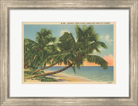 Framed Florida Postcard III Print
