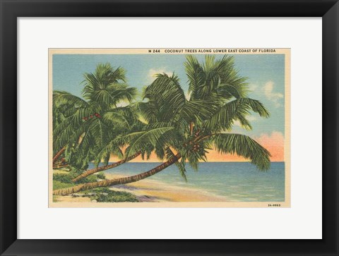 Framed Florida Postcard III Print