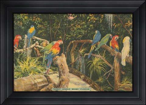 Framed Florida Postcard II Print