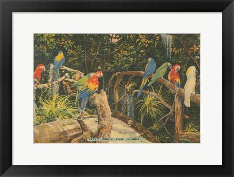 Framed Florida Postcard II Print