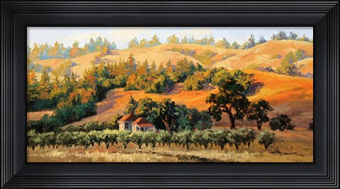 Framed Last Glimmer of Light Print