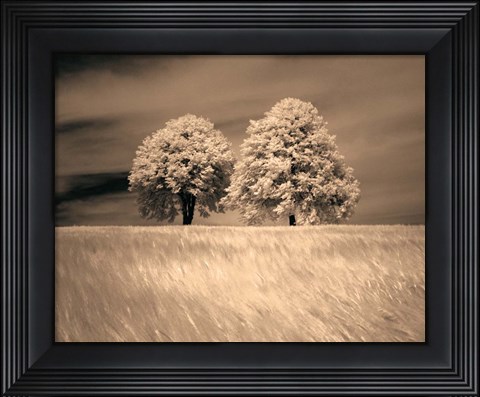 Framed Together and Alone I Print