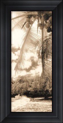 Framed Equatorial Breeze II Print