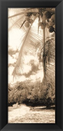 Framed Equatorial Breeze II Print