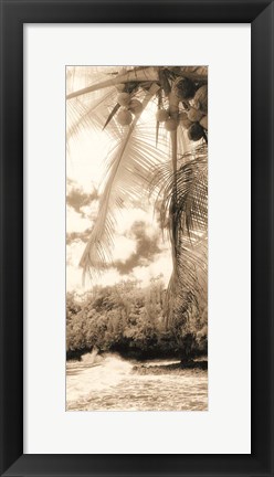 Framed Equatorial Breeze II Print