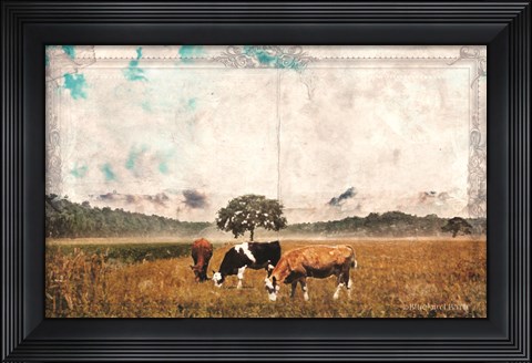 Framed Vintage Grazing Cattle Print
