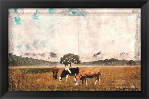 Framed Vintage Grazing Cattle Print