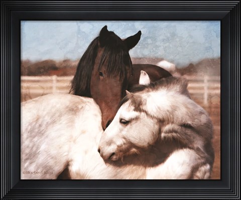 Framed White and Chestnut Horses Print