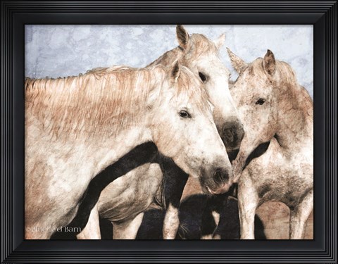 Framed White Horse Print
