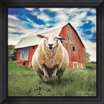 Framed Sunday Afternoon Sheep Pose Print