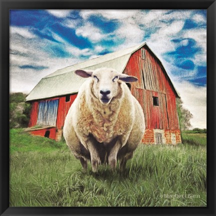 Framed Sunday Afternoon Sheep Pose Print