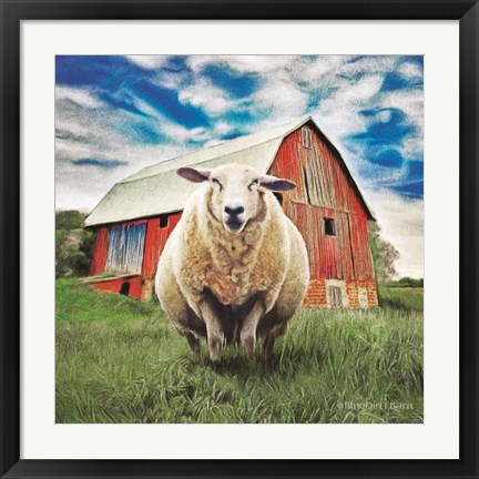 Framed Sunday Afternoon Sheep Pose Print