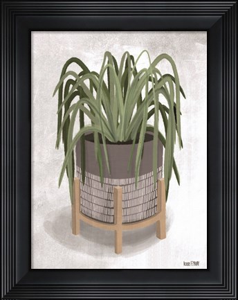 Framed Spider Plant Print