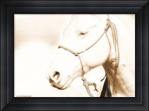 Framed Sepia Medicine Man Print