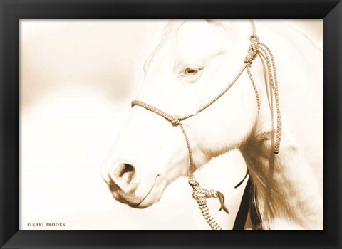 Framed Sepia Medicine Man Print