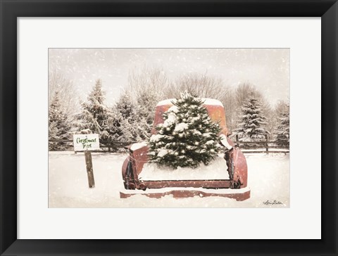 Framed Rustic Christmas Trees Print