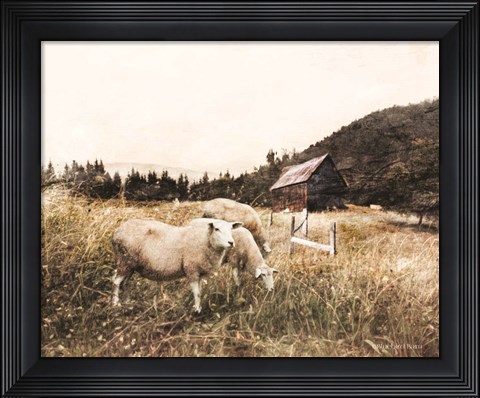 Framed Sheep in the Meadow Print
